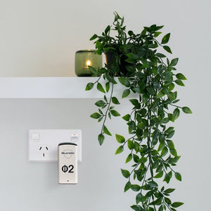 Plant and candle on shelf near power outlet with device.