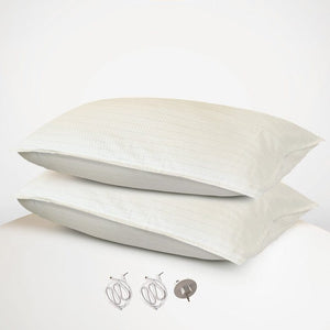 GO2905 Pillows - Set of 2