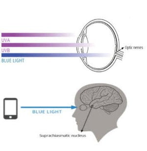 Blue light radiation impact on eye and brain.