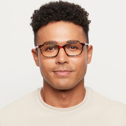 Wells/Classic Tortoise Blue Light Glasses