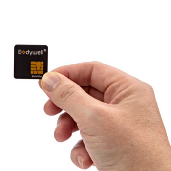 Bodywell Chip