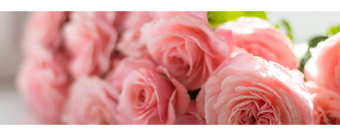 Mother's Day 