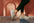 Earthing Footwear