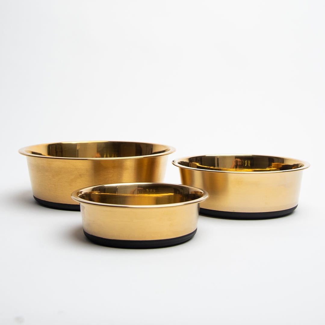 Leela Quantum Energy Pet Bowl